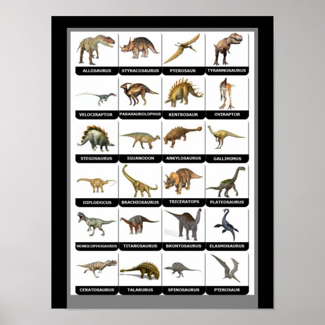 Dinosaurier Chart Poster (Vorne)