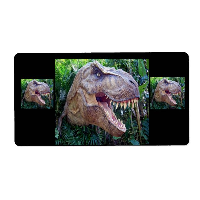 Dinosaurier-Etiketten für Kinder (Vorne)