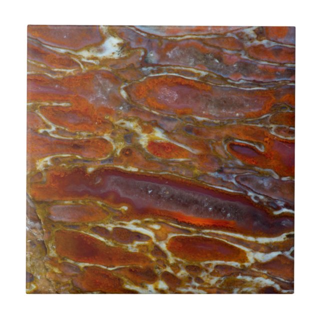 Dinosaurier Fliese (Vorderseite)