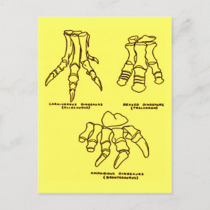 Dinosaurier Foot Bones Postkarte
