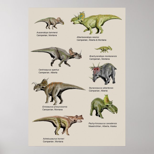Dinosaurier-Hintergrunddiagramm Poster (Vorne)