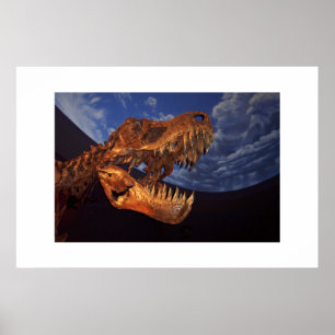 Dinosaurier Poster