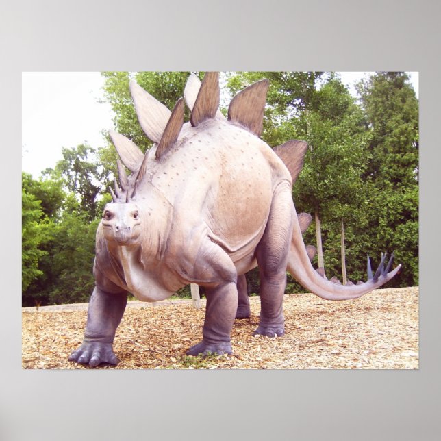 Dinosaurier Poster (Vorne)