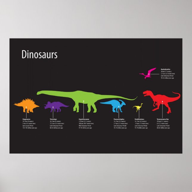 Dinosaurier Poster (Vorne)
