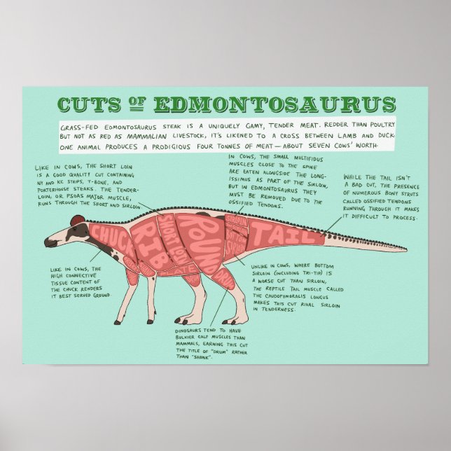 Dinosaurier-Poster - Edmontosaurus Poster (Vorne)