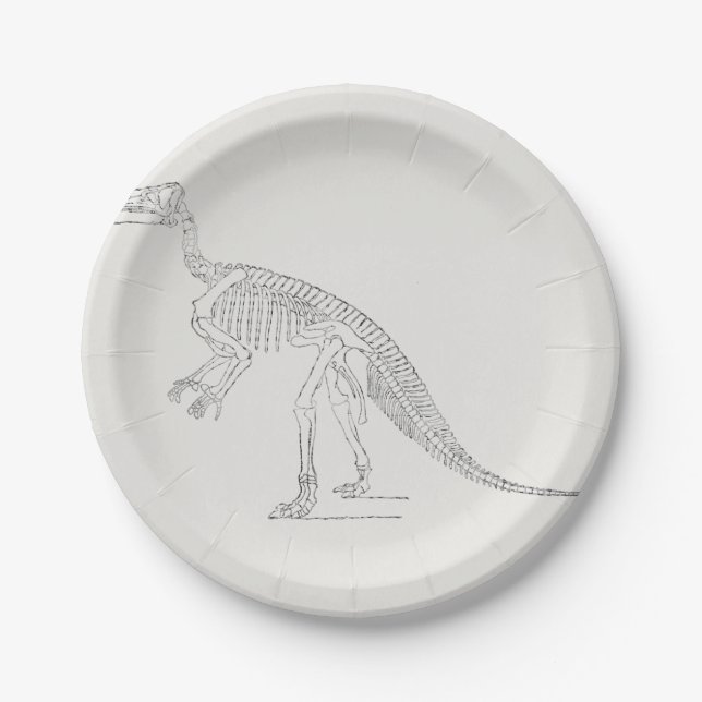Dinosaurier-Skelett-Kunst Pappteller (Vorderseite)