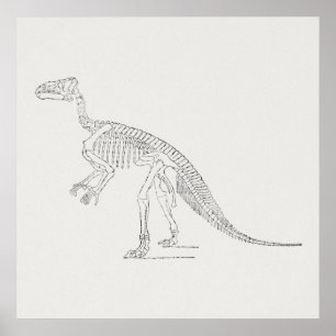 Dinosaurier-Skelett-Kunst Poster