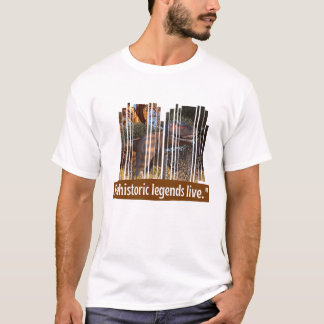 Dinosaurier T-Shirt