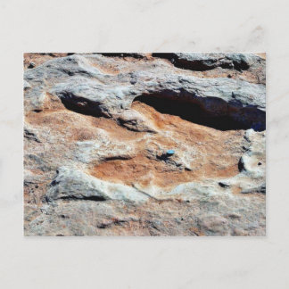 Dinosaurierspuren nördlich von Flagstaff Postkarte