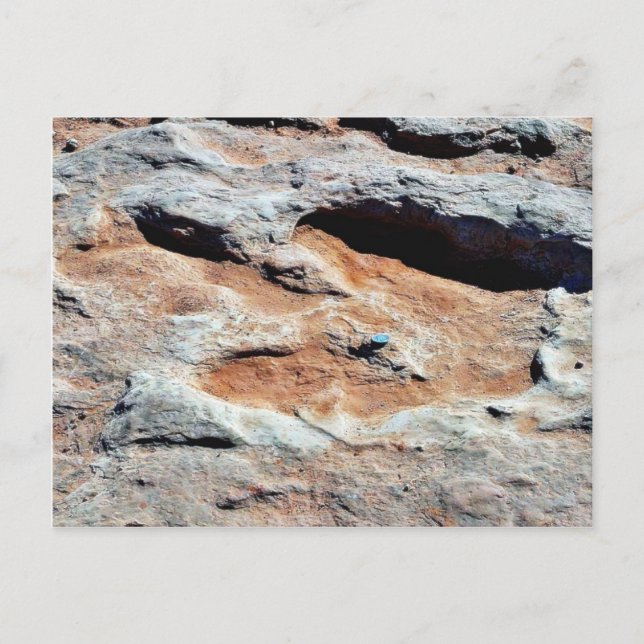 Dinosaurierspuren nördlich von Flagstaff Postkarte (Vorderseite)