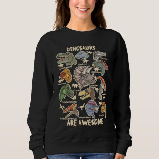 Dinosaurs are Awesome Dino Identification Kids Boy Sweatshirt