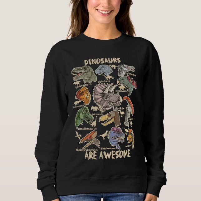 Dinosaurs are Awesome Dino Identification Kids Boy Sweatshirt (Vorderseite)