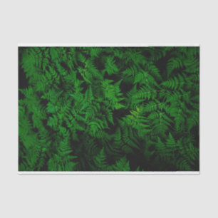 Dinosaurwald Seidenpapier