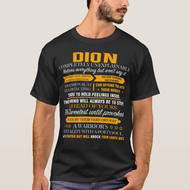 DION völlig unerklärlich T-Shirt (Vorderseite)