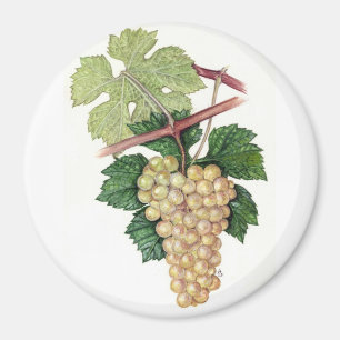 Dionysus u. Rhea-Sammlung Magnet