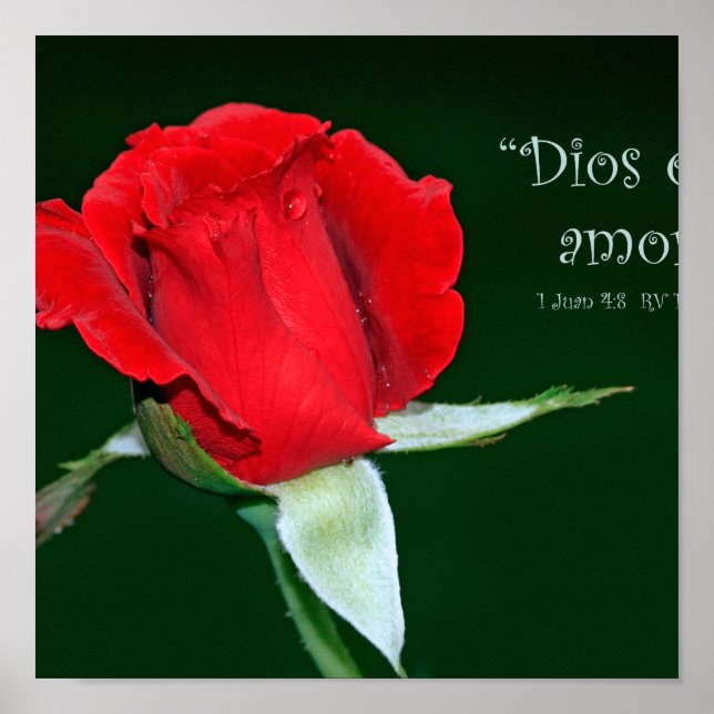 Dios es amor (Kartel de 1 Juan 4:8) Poster (Vorne)