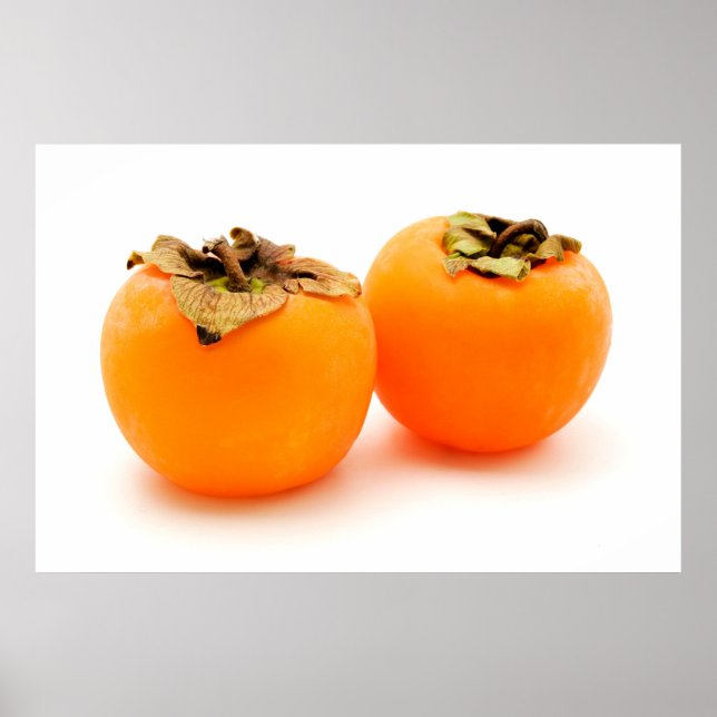 Diospyros kaki poster (Vorne)