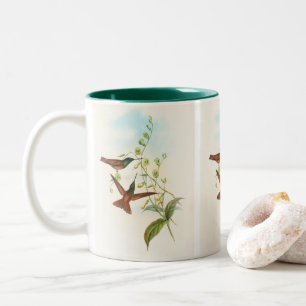 Diphogena Aurora Goulds Regenbogenkolibri von John Zweifarbige Tasse