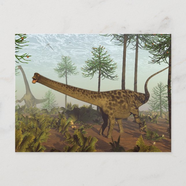 Diplodocus Dinosaurier unter Araukaria-Bäumen - 3D Postkarte (Vorderseite)