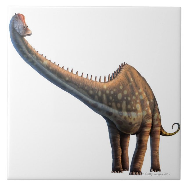 Diplodocus Fliese (Vorderseite)