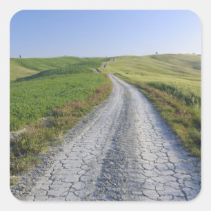 Direkte Straße durch Felder und Hügel, Val d'Orcia Quadratischer Aufkleber