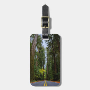 Direkte Straße vor dem Misty Redwood Wald Gepäckanhänger