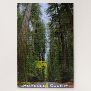 Direkte Straße vor dem Misty Redwood Wald Puzzle