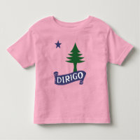 Dirigo/1901 Maine Flag