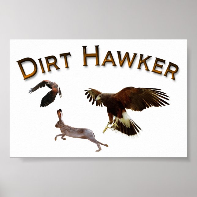 Dirt Hawker Poster (Vorne)