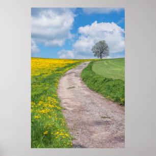 Dirt Road and Tree Poster