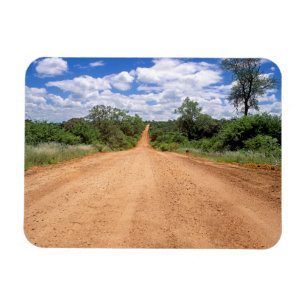 Dirt Road, Kruger National Park, Mpumalanga Magnet