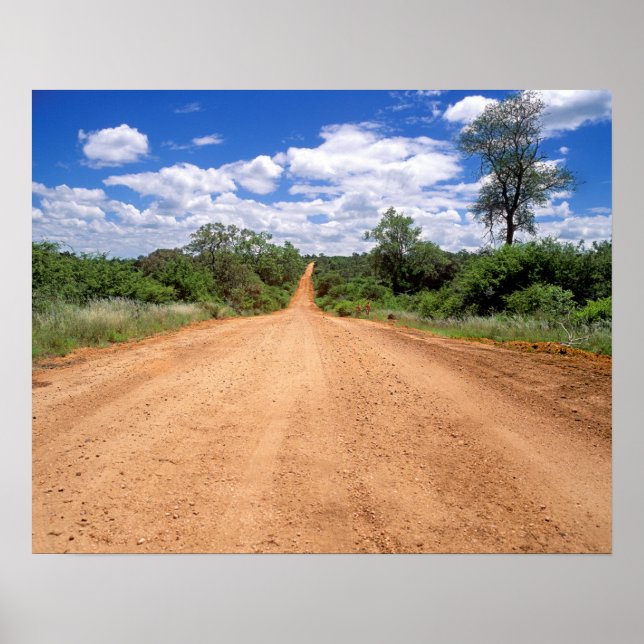 Dirt Road, Kruger National Park, Mpumalanga Poster (Vorne)