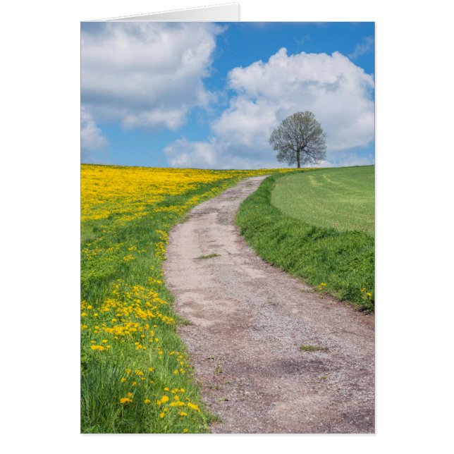 Dirt Road und Tree (Vorne)