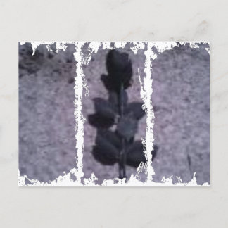 Dirty 3Tall Boxes Postkarte