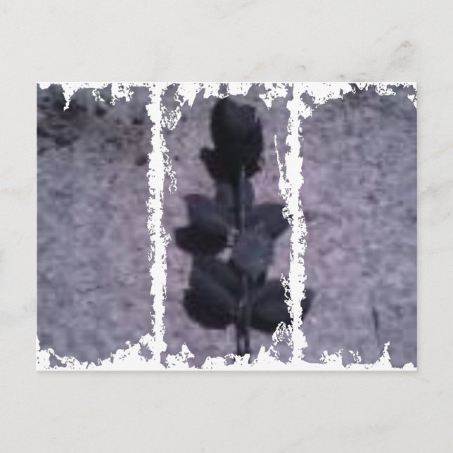 Dirty 3Tall Boxes Postkarte (Vorderseite)