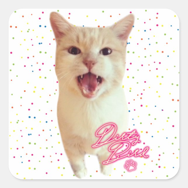 Dirty-Bird-Autographie-Aufkleber Quadratischer Aufkleber (Vorderseite)