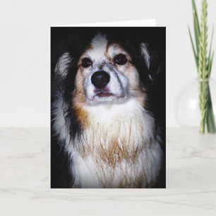 Dirty Digger Doggie Karte