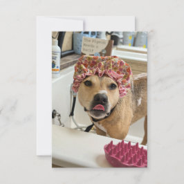 Dirty Dog Puppy Bath Time lustige Kostümnotecard Dankeskarte