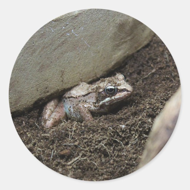 Dirty Frog Runder Aufkleber (Vorderseite)