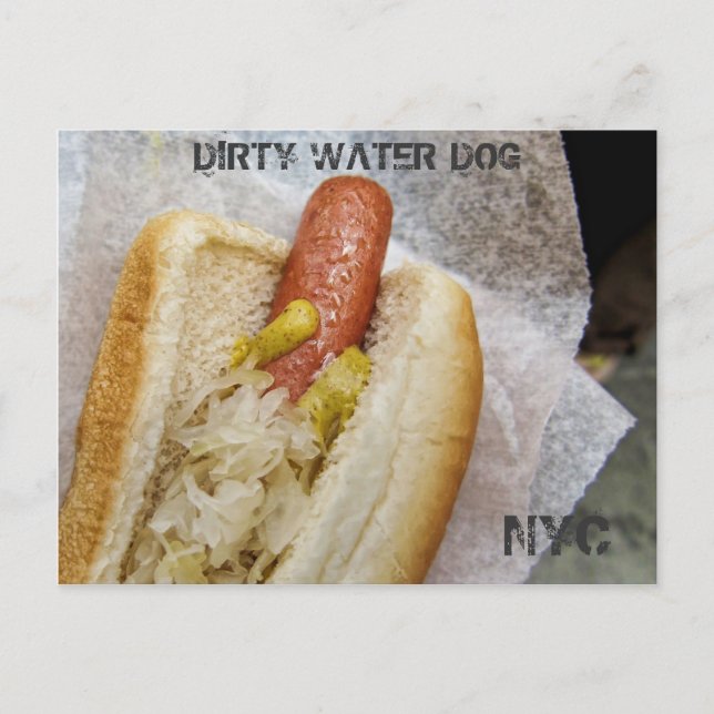 Dirty Water Dog NYC Postkarte (Vorderseite)