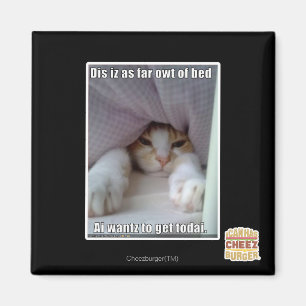 DIS iz als weit owt des Betts. Magnet