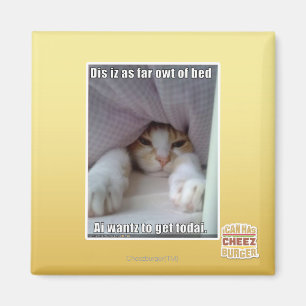 DIS iz als weit owt des Betts. Magnet
