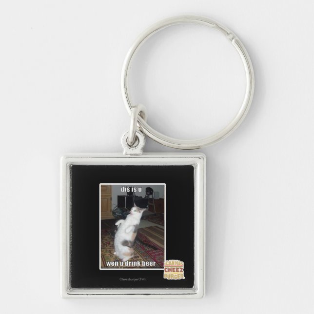 dis schlüsselanhänger (Vorne)