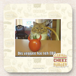 DIS veggee haz das EBIL Getränkeuntersetzer
