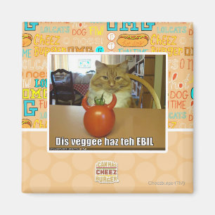 DIS veggee haz das EBIL Magnet