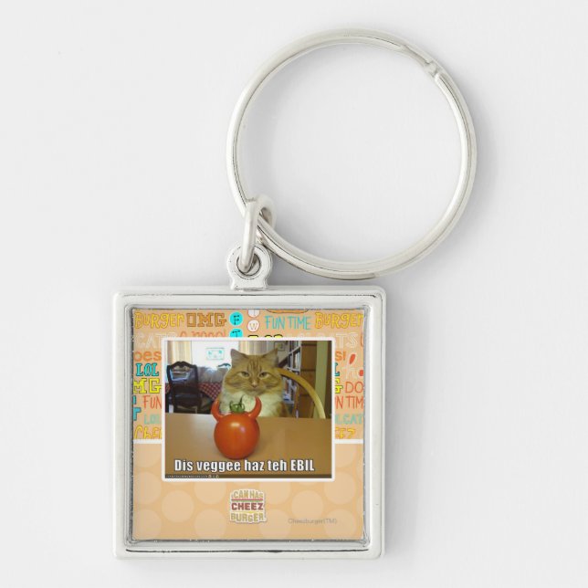 DIS veggee haz das EBIL Schlüsselanhänger (Vorne)