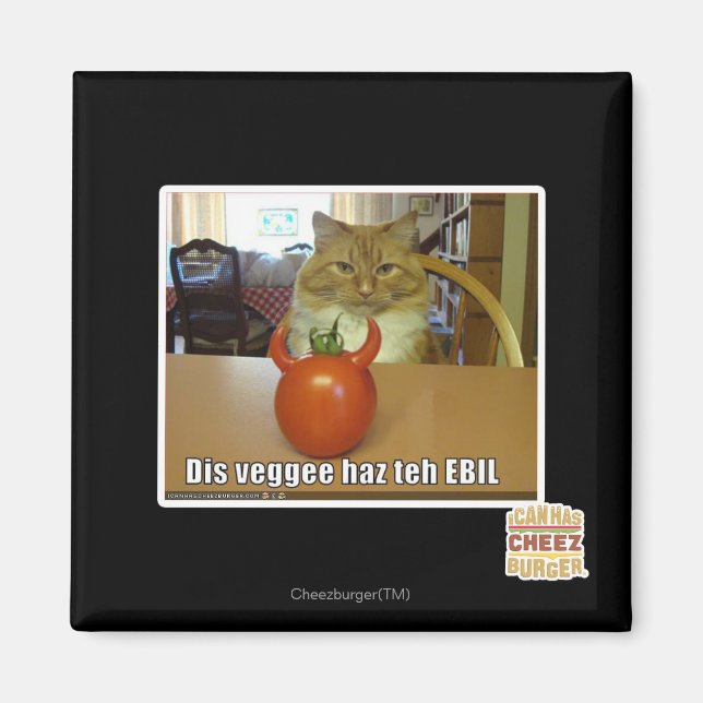 Dis veggee haz EBIL Magnet (Vorne)