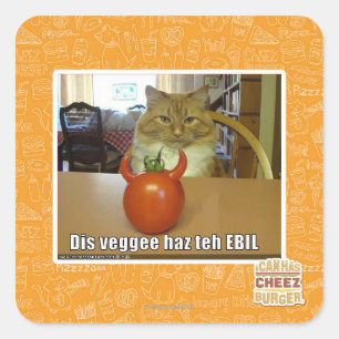 Dis veggee haz EBIL Quadratischer Aufkleber