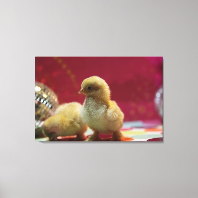 Disco Chicks Leinwanddruck (Vorderseite)