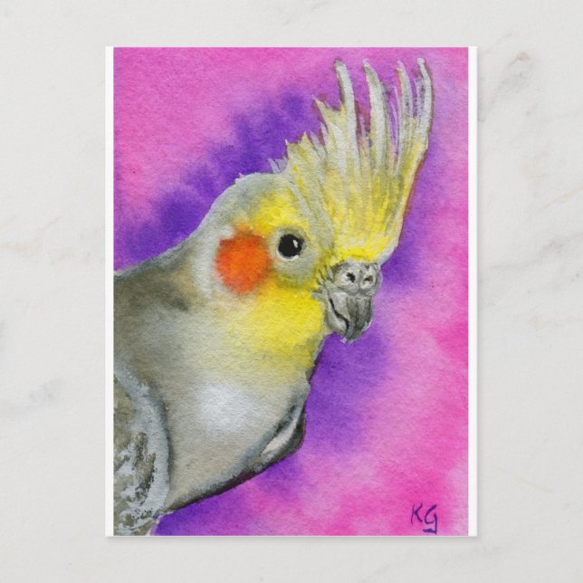 Disco Cockatiel Postkarte (Vorderseite)